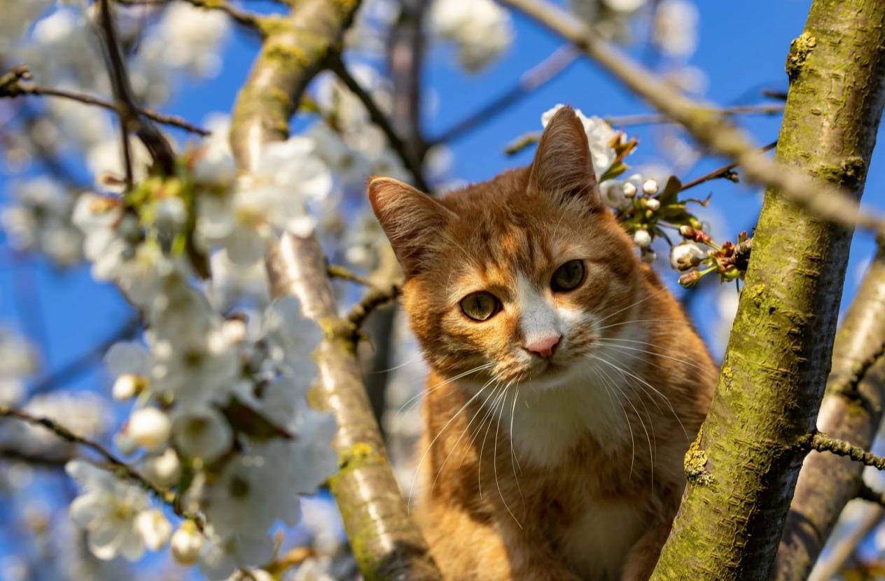 Прогноз погоды на день 13 марта