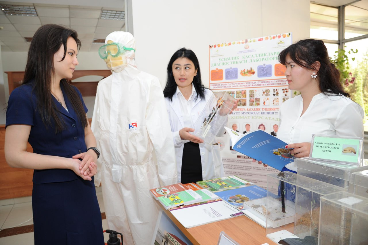 Гендер теңлик ҳәм экономика:  ҳаял-қызлардың билим алыўы не ушын буншелли әҳмийетли?