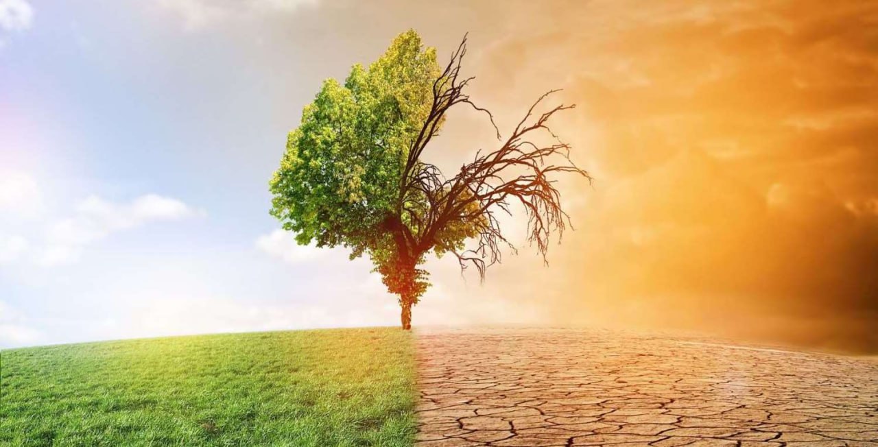 Экологиялық тең салмақлық: раўажланыў ҳәм тәбият арасындағы жол