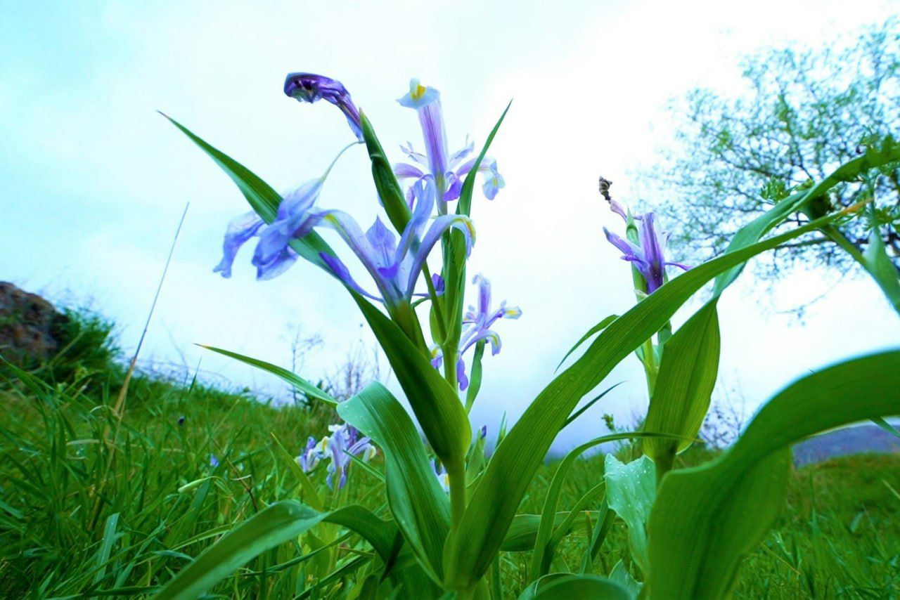 Дам олиш кунларида қандай об-ҳаво кузатилади?