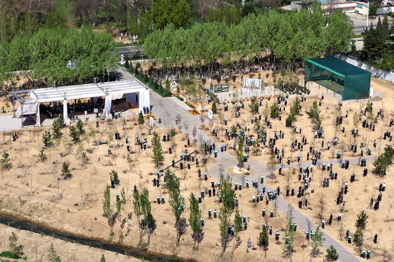 Дендрология бағлары қала ҳаўасының тазалығы ушын қаншелли дәрежеде әҳмийетке ийе?