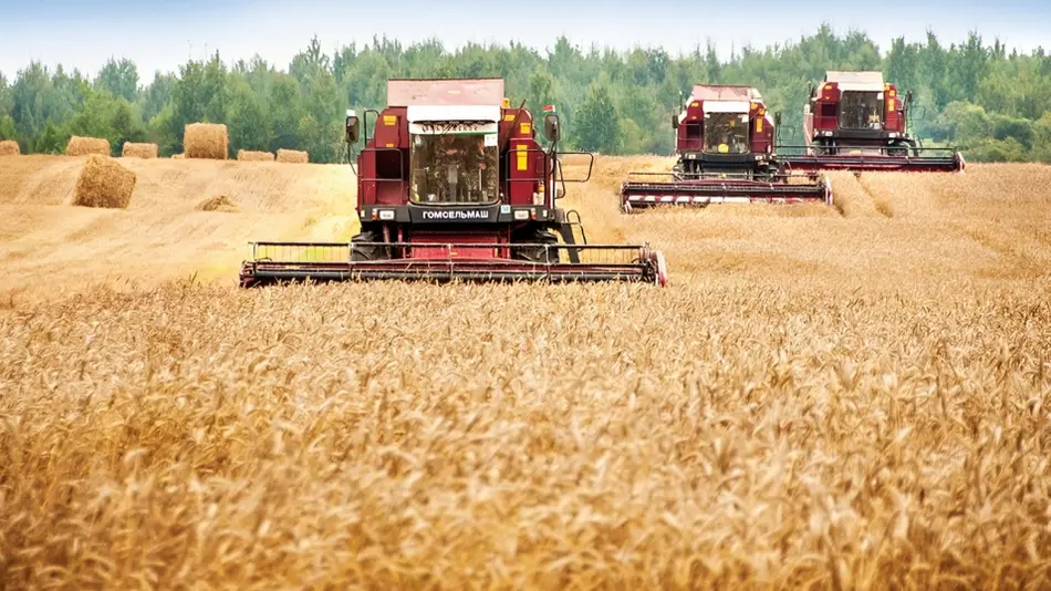 Қашқадарёлик тадбиркорлар Беларусдан тўрт минг гектар экин майдонини узоқ муддатли ижарага олмоқчи