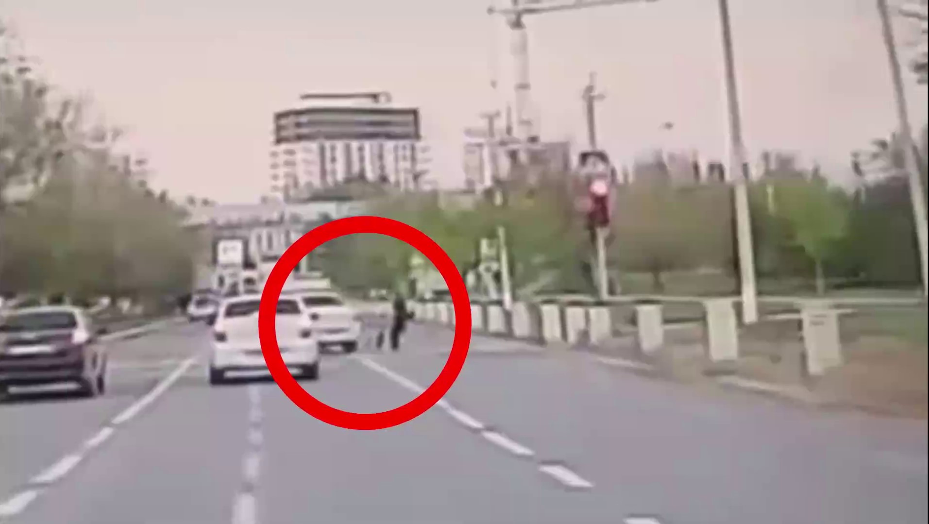 Чирчиқда пиёдаларни уриб кетишига бир бахя қолган ҳайдовчи 2 йилга “права”сидан маҳрум этилди