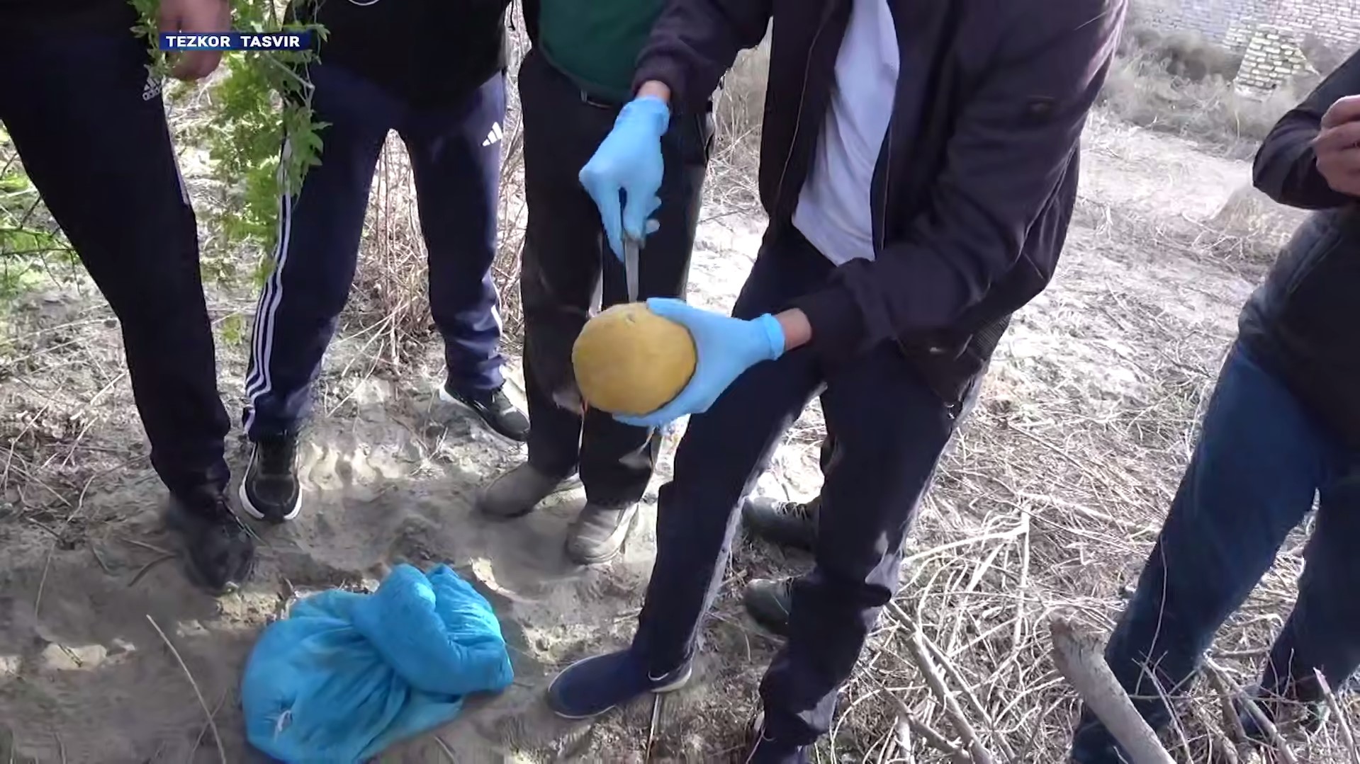 Xorazmda 9 kilogrammga yaqin opiy musodara qilindi