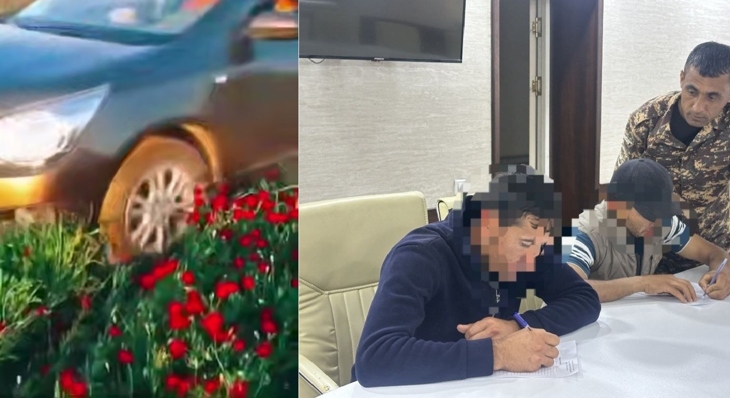 Қашқадарёда бир гуруҳ эркаклар машиналарда лолазорни пайҳон қилди