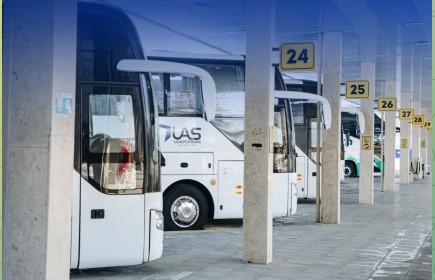 Қурбон ҳайити муносабати билан ҳудудларга қўшимча автобус қатновлари йўлга қўйилди