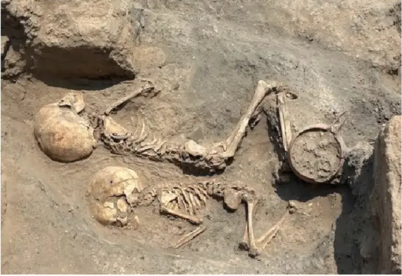 Oʻzbekistonda bronza davriga oid jarrohlik amaliyoti izlari aniqlanadi