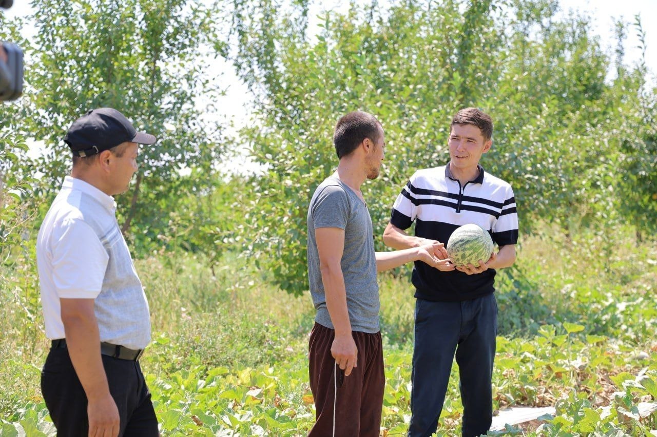 Жер ажыратыў арқалы жаслардың бәнтлиги тәмийинленбекте