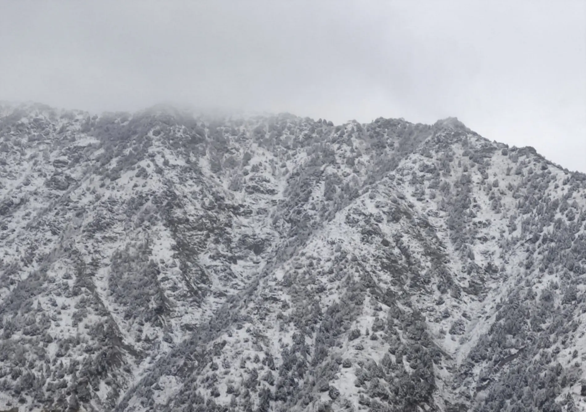 "Hisor" davlat qo‘riqxonasida qor yog‘di