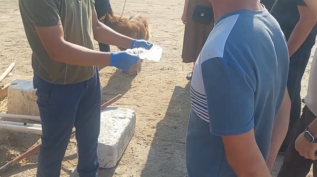 Toʻrtkoʻl tumanidagi xonadonlardan “geroin” va “opiy” giyohvandlik vositalari topildi