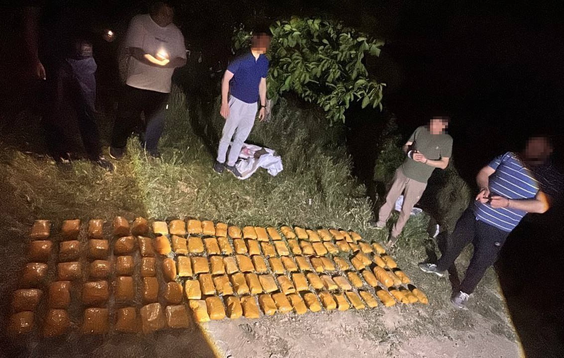 Қибрайда дарахтлар орасига яширилган 95 килограмм «гашиш» 8 кунлик кузатувдан сўнг қўлга олинди