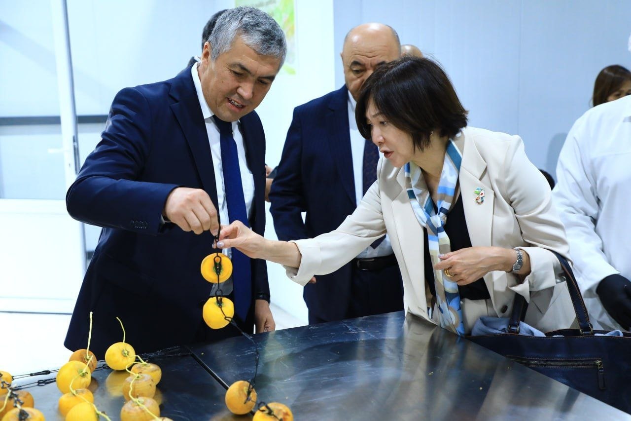 JICA делегацияси Самарқанд агроинновациялар ва тадқиқотлар институти фаолияти билан танишди