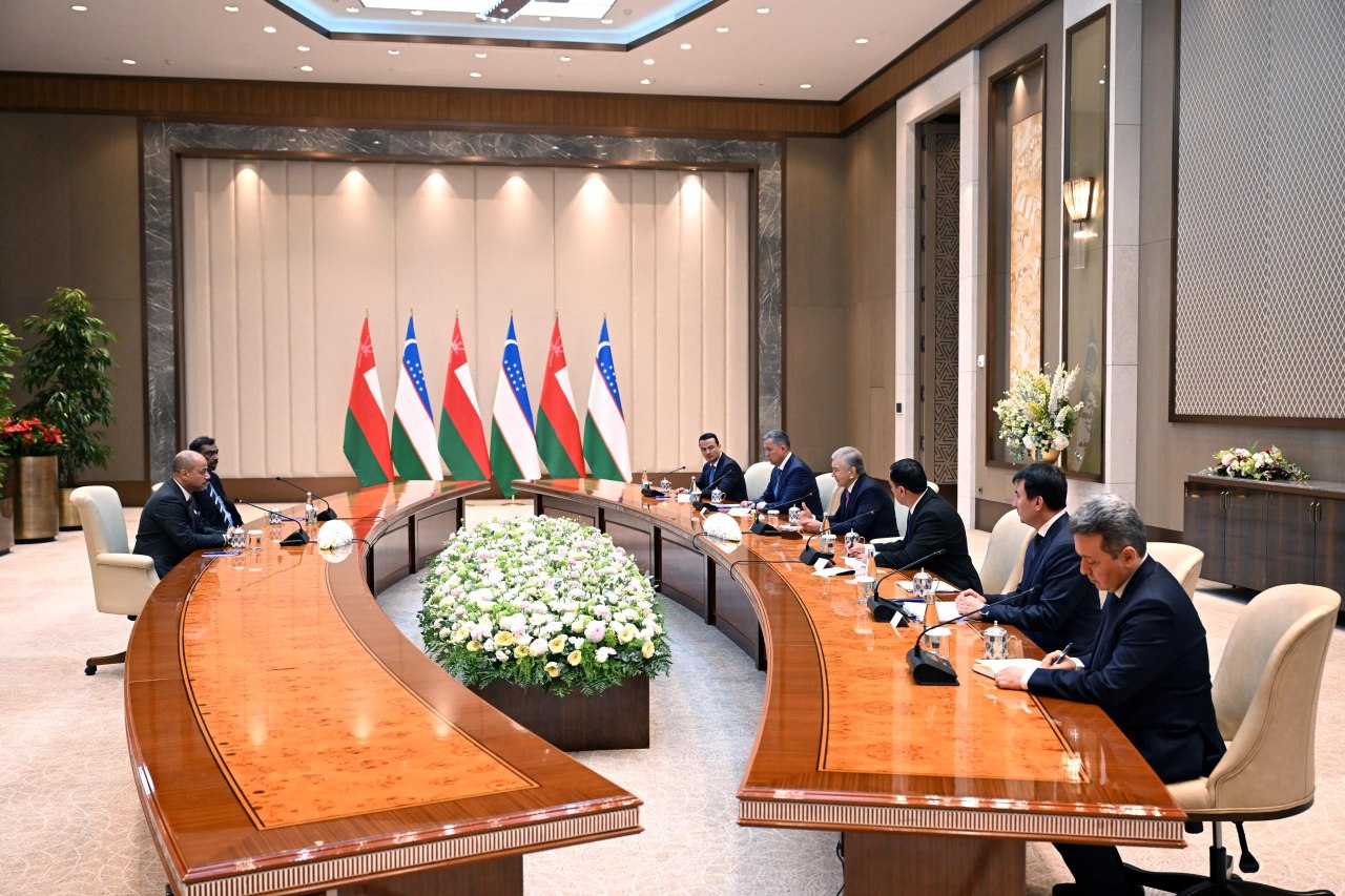 President of Uzbekistan Receives Chairman of Voltamp Energy