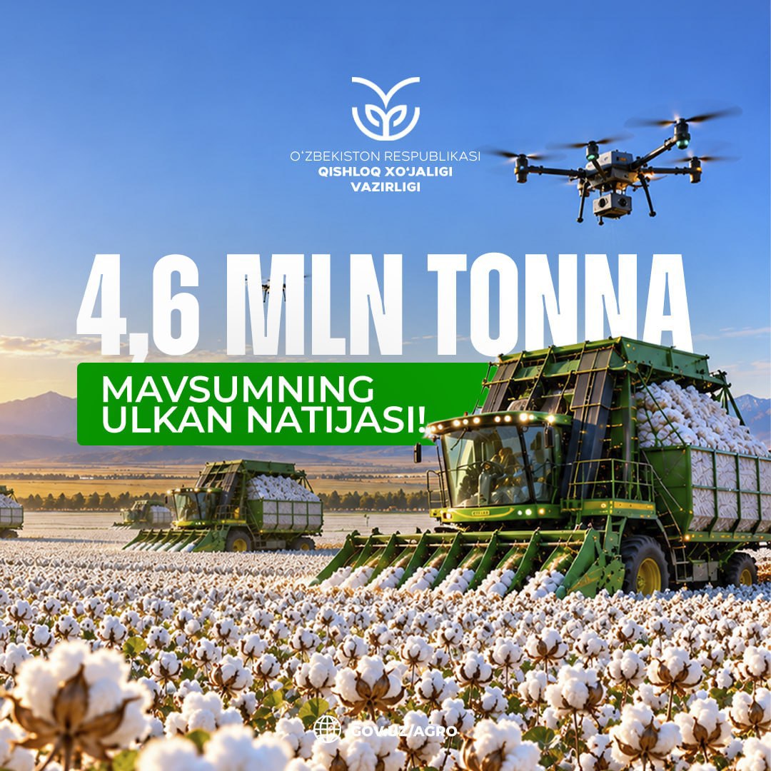 Ўзбекистонда 4,63 миллион тонна пахта йиғиб олинди