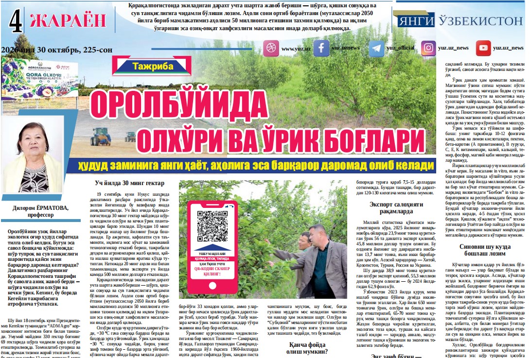 Оролбўйида олхўри ва ўрик боғлари ҳудуд заминига янги ҳаёт, аҳолига эса барқарор даромад олиб келади