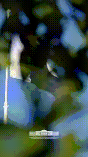 Маросими бошукӯҳи истиқболи Президенти Ӯзбекистон баргузор гардид