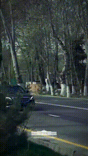 “Yashil makon” umummilliy loyihasi doirasida har yili 200 mln tup koʻchat ekiladi