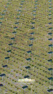 Мемлекет басшысы Ферғана облысындағы ауыл шаруашылығы кешенінің жұмысымен танысты