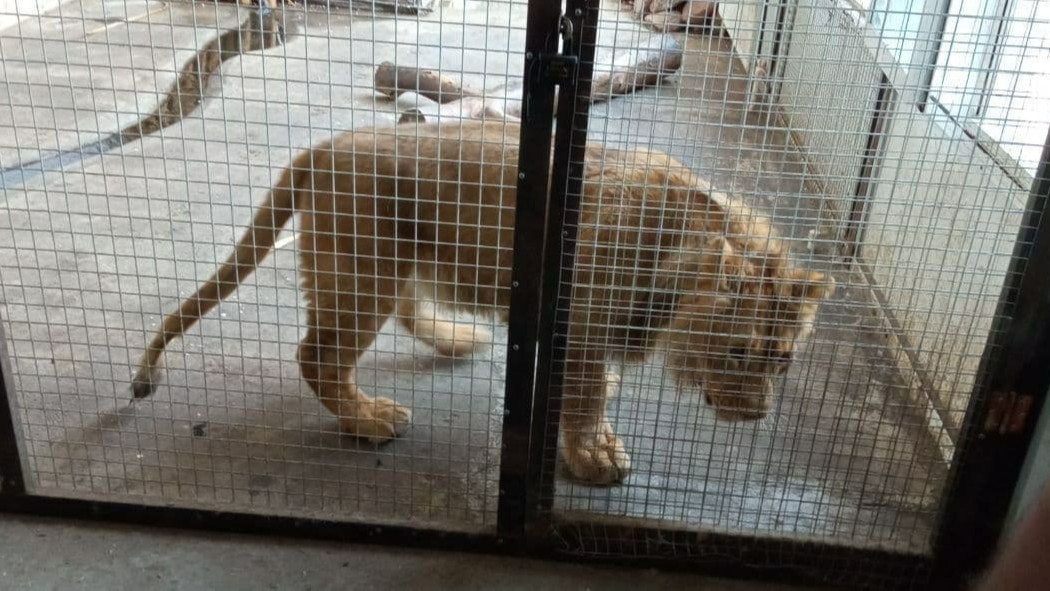 Paypoqdagi busty kaltaklar bilan porno tomosha qiling