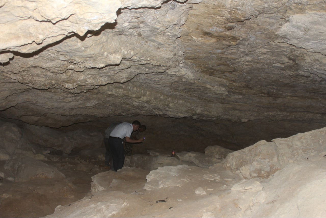 Qadimgi mushukdagi qalin xoroz Qadimgi mushukdagi qalin xoroz