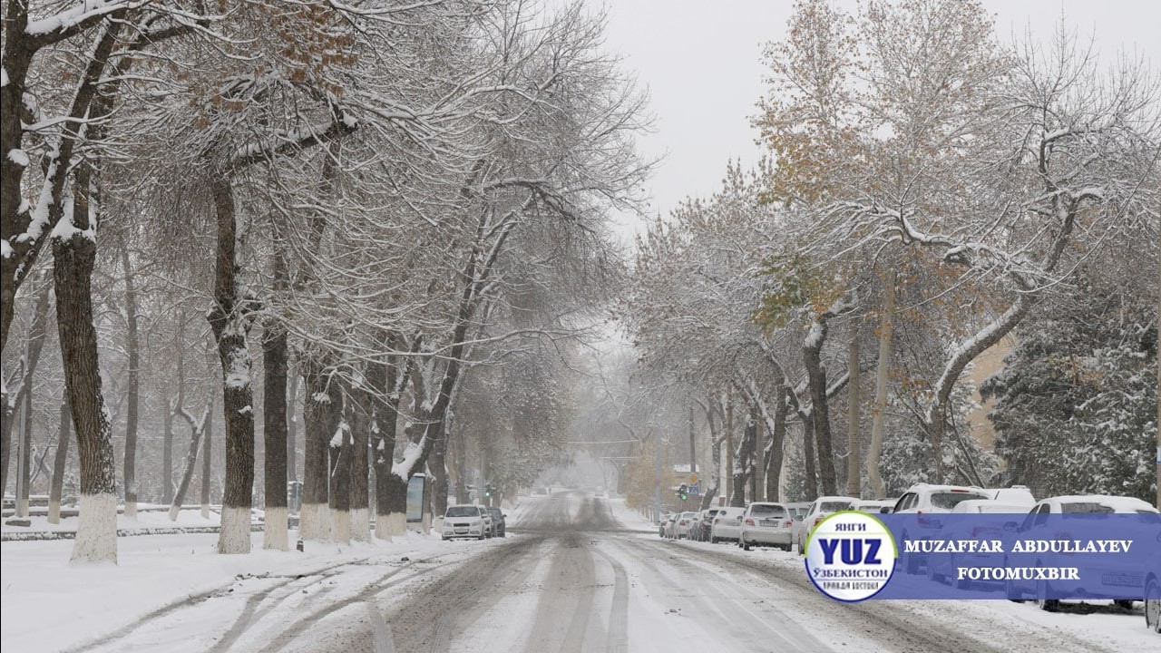 Oyoqlari yuqoriga kotarilgan polda jinsiy aloqa qiz