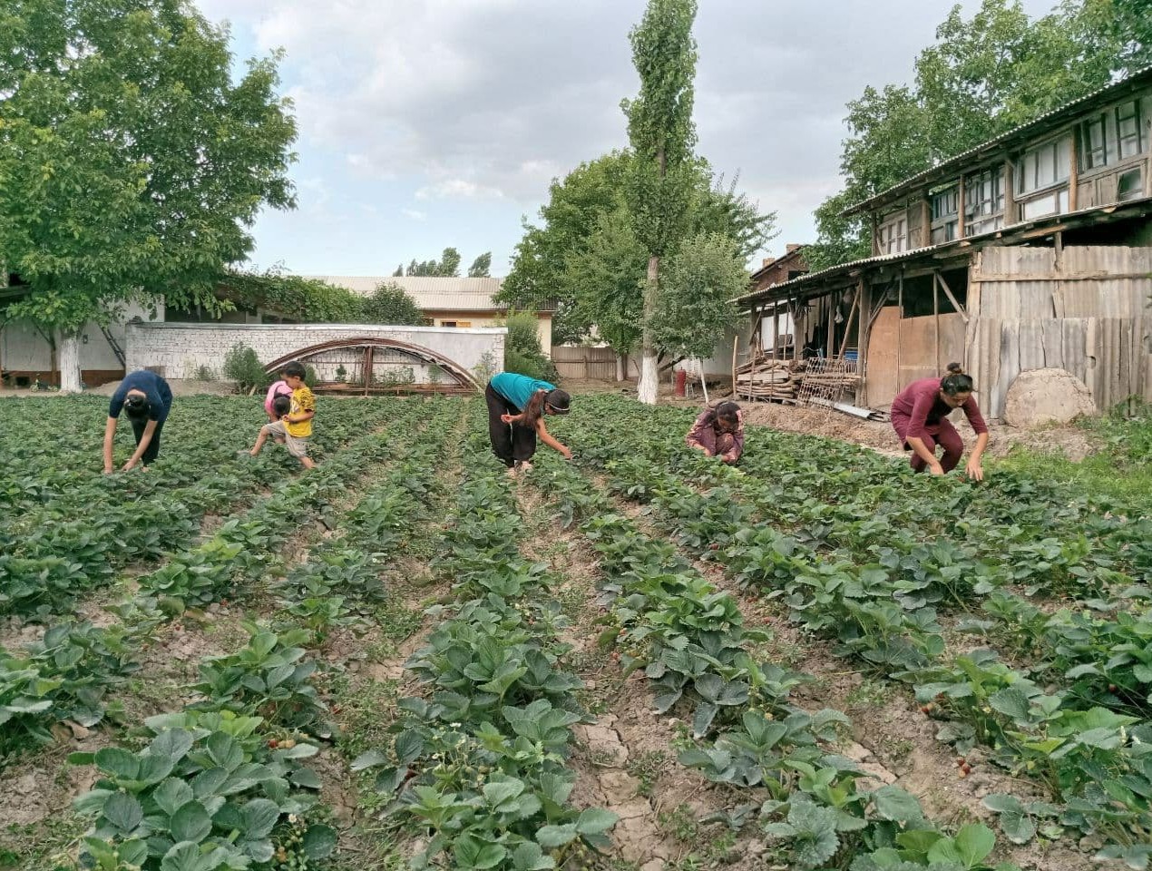меҳнат муҳофазаси ва техника хавфсизлиги. мехнат muhofazasi. 11 ноябрь касаба уюшмаси. погода мехнат. погода мехнат.