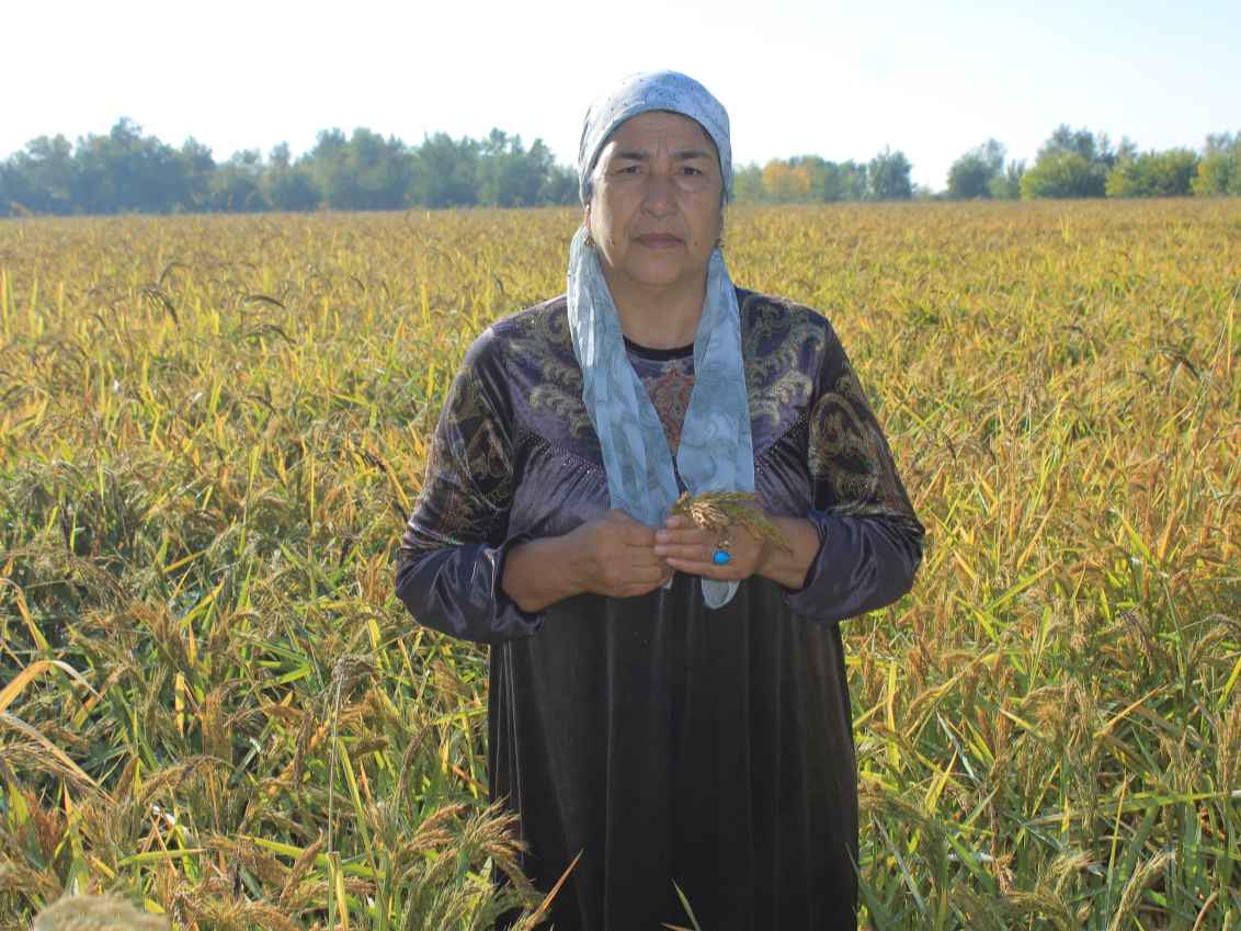 Tuzoq porno komikslar