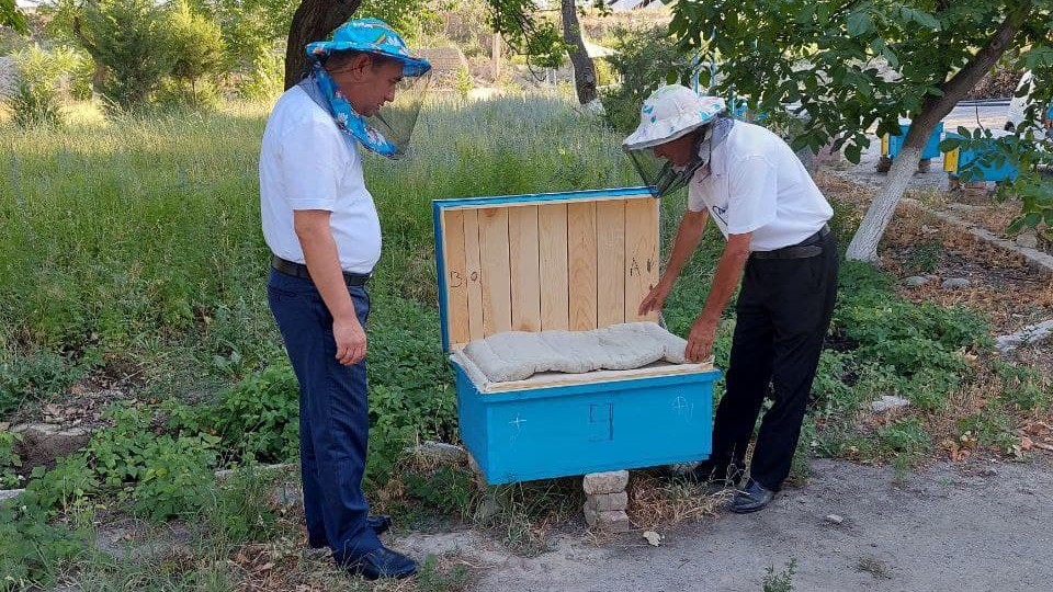 Асаларичилик бизнес план