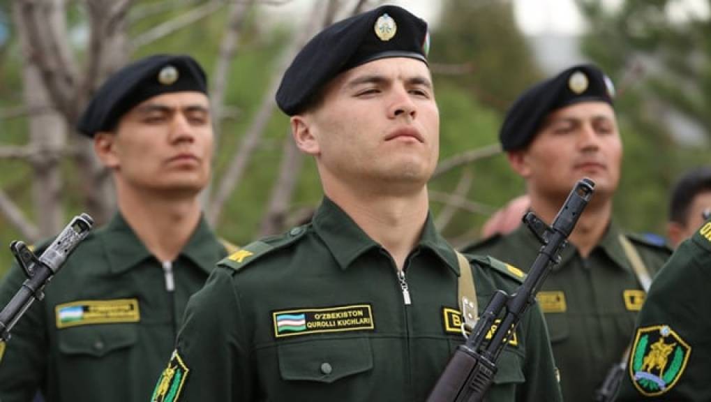 Mushukiga har xil sozlarni tiqib qoyadi Mushukiga har xil sozlarni tiqib qoyadi