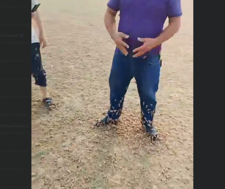 Toy porno videolarini onlayn tomosha qiling