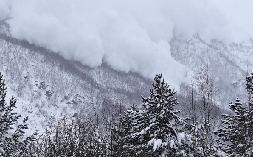 Ular navbat bilan mushukni sperma bilan toldirishdi