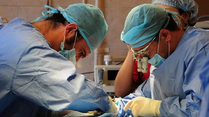 Misha kross fotosurati