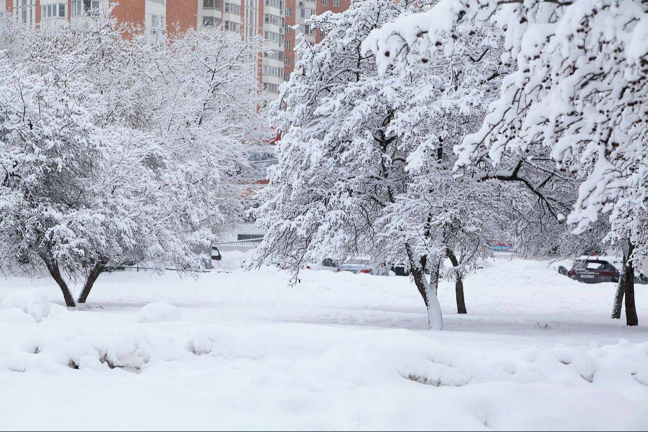 Погода снежков. Снегопад. Снег в Москве. Погода снег. Снегопад в Москве.
