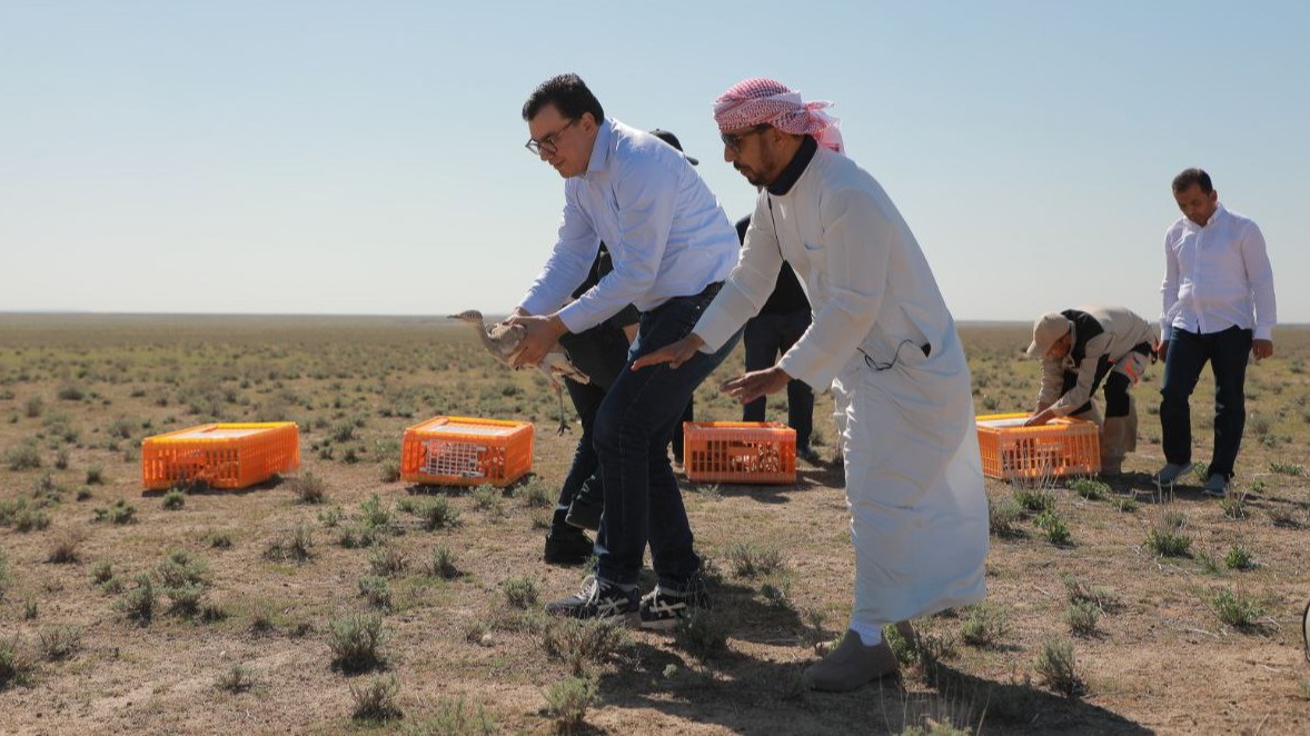 Onlayn porno barcha toifalar