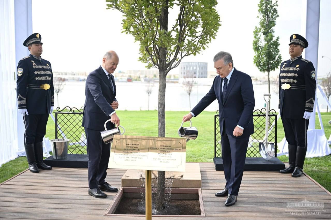 Onaning kokrak qafasidan olingan sut video