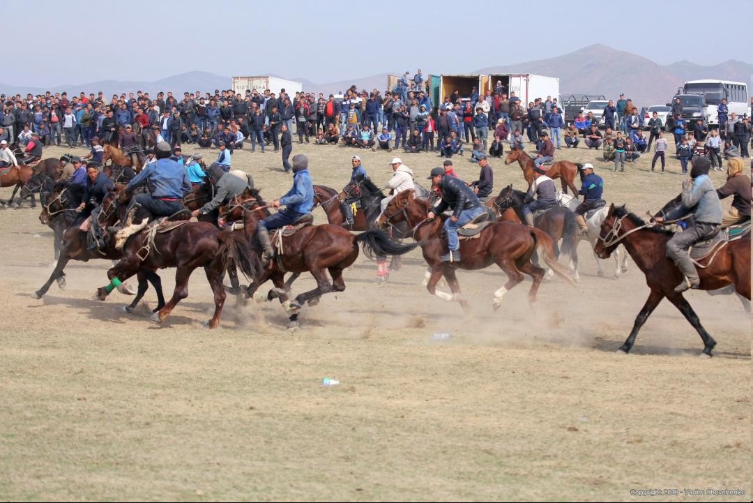 Kopkari 2024. Купкари Узбекистан. Улок купкари Узбекистан. Улок купкари 2022. Купкари Самарканд 2022