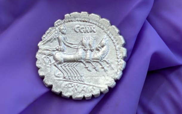 Chiroyli eshak titrayapti