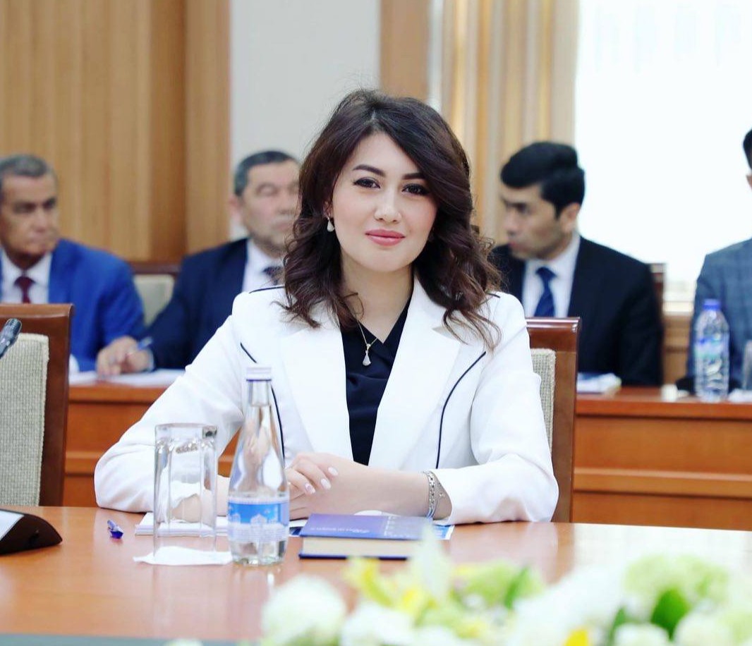 Янгиланган Конституция - сайлов тизимининг ҳуқуқий пойдевори