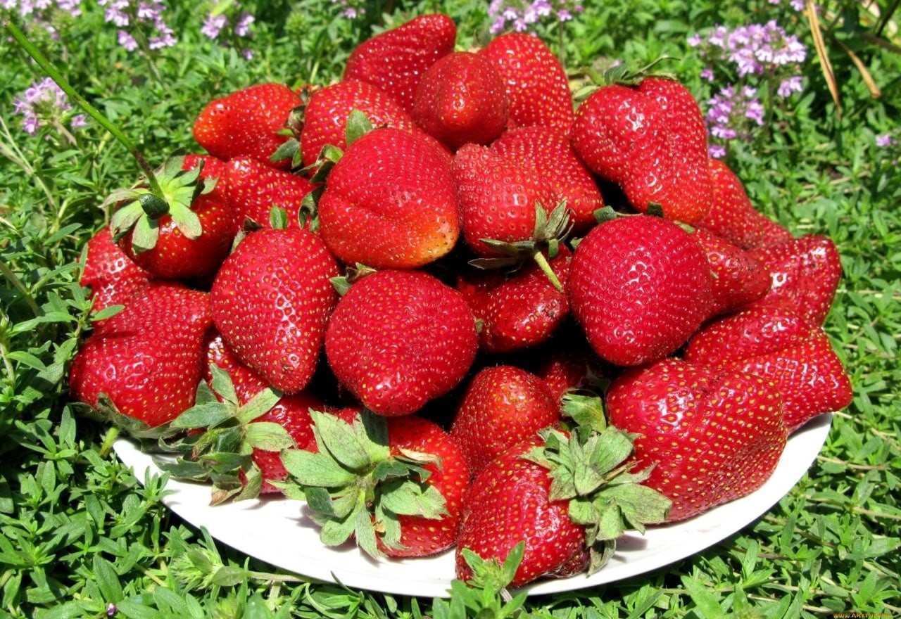 Armaniston Ijevan porno