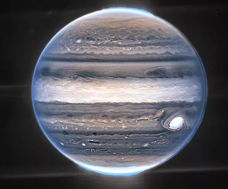 Sariq qora tanli bogbonni soradi Barmoq vaginada