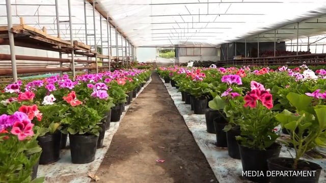 Sport zalida qiz video