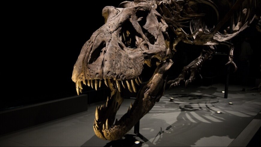 Semiz ayollar bilan toliq metrajli porno film