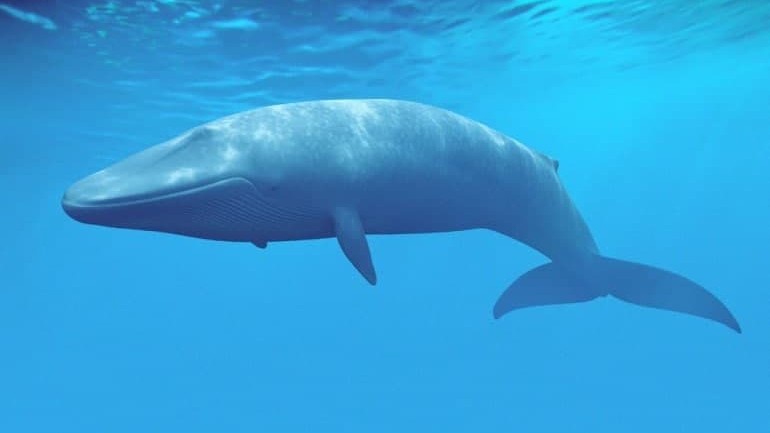 Harbiy ayolni sikish onlayn porno