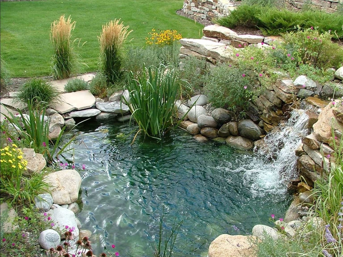 Xonim sizga ozining mushuk reklamalarini yalashingizga ruxsat beradi