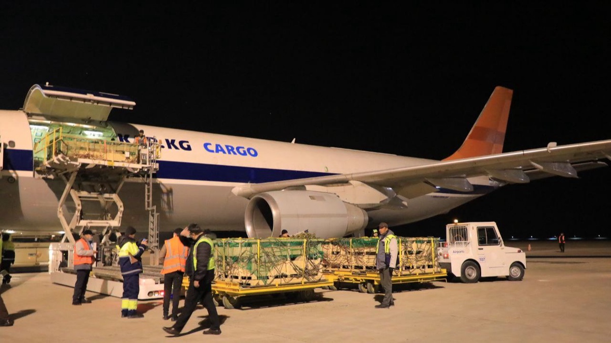 Kasting porno onlayn tomosha qiling