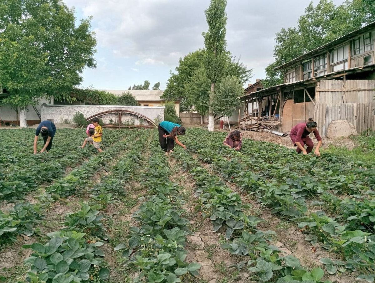 Tango külotlarida jinsiy aloqa