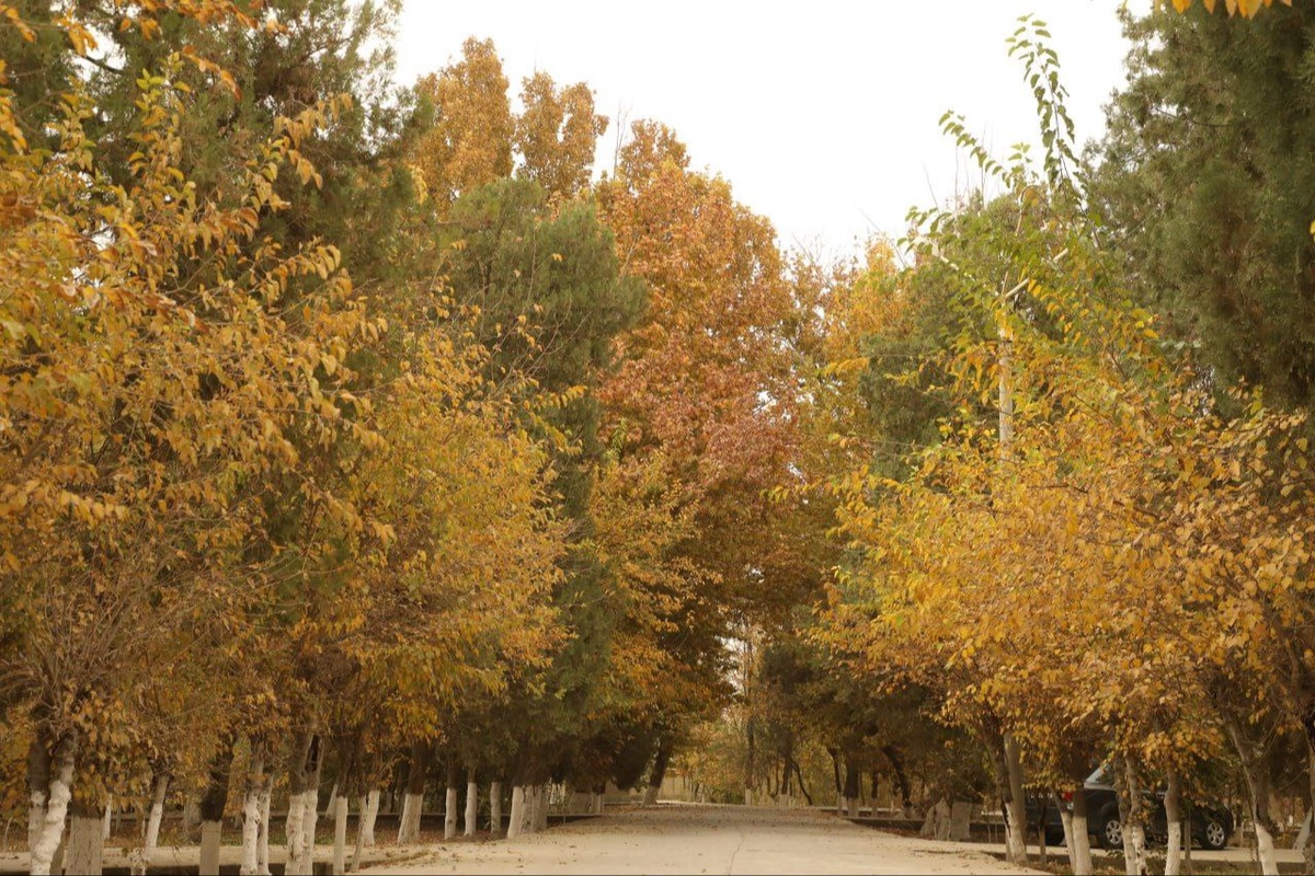 Sofi Anderson uy qurilishi porno Twistys erotik jinsiy aloqa video