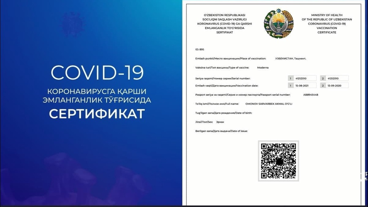 Траннилердің кончиттері