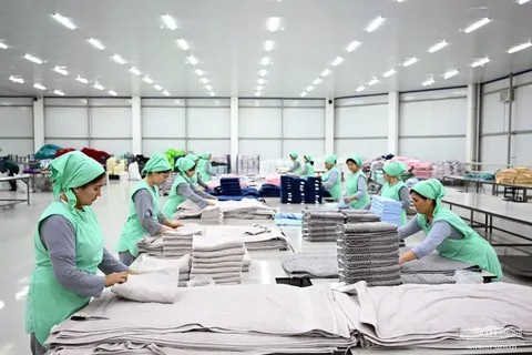 Samara tuman boyicha kuzatib boradi