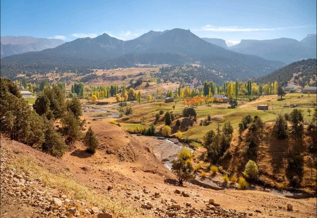 Oq külotlarda HD porno